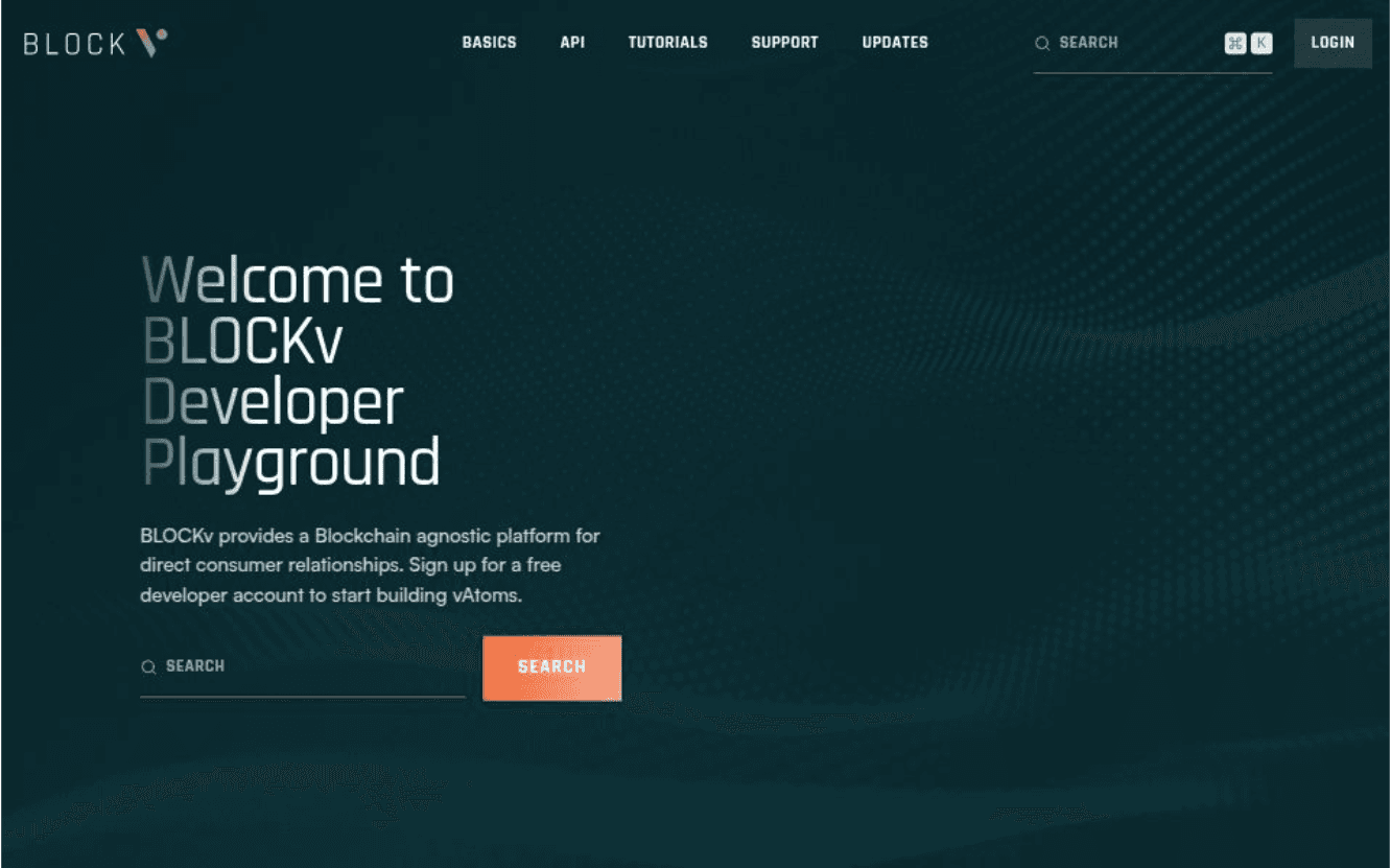 BlockV Documentation: webapp project by NFW Web Studio